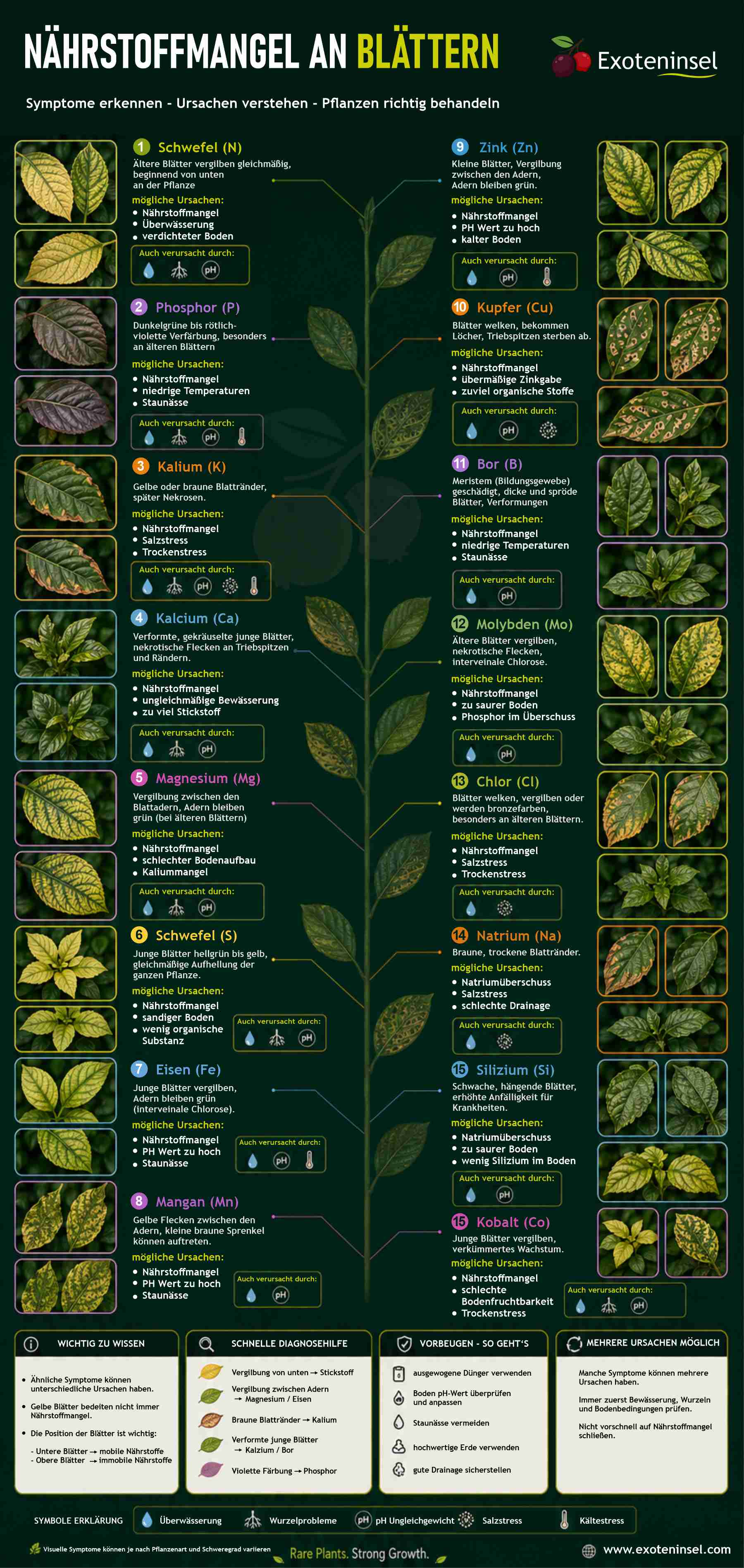 gratis Poster "Nährstoffmangel in Blättern" deutsch / german