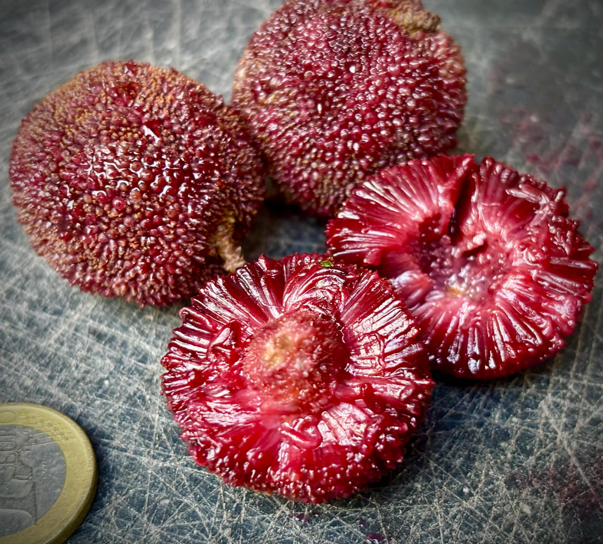 Yangmei (Myrica rubra) - 2 fresh seeds / 2 frische Samen