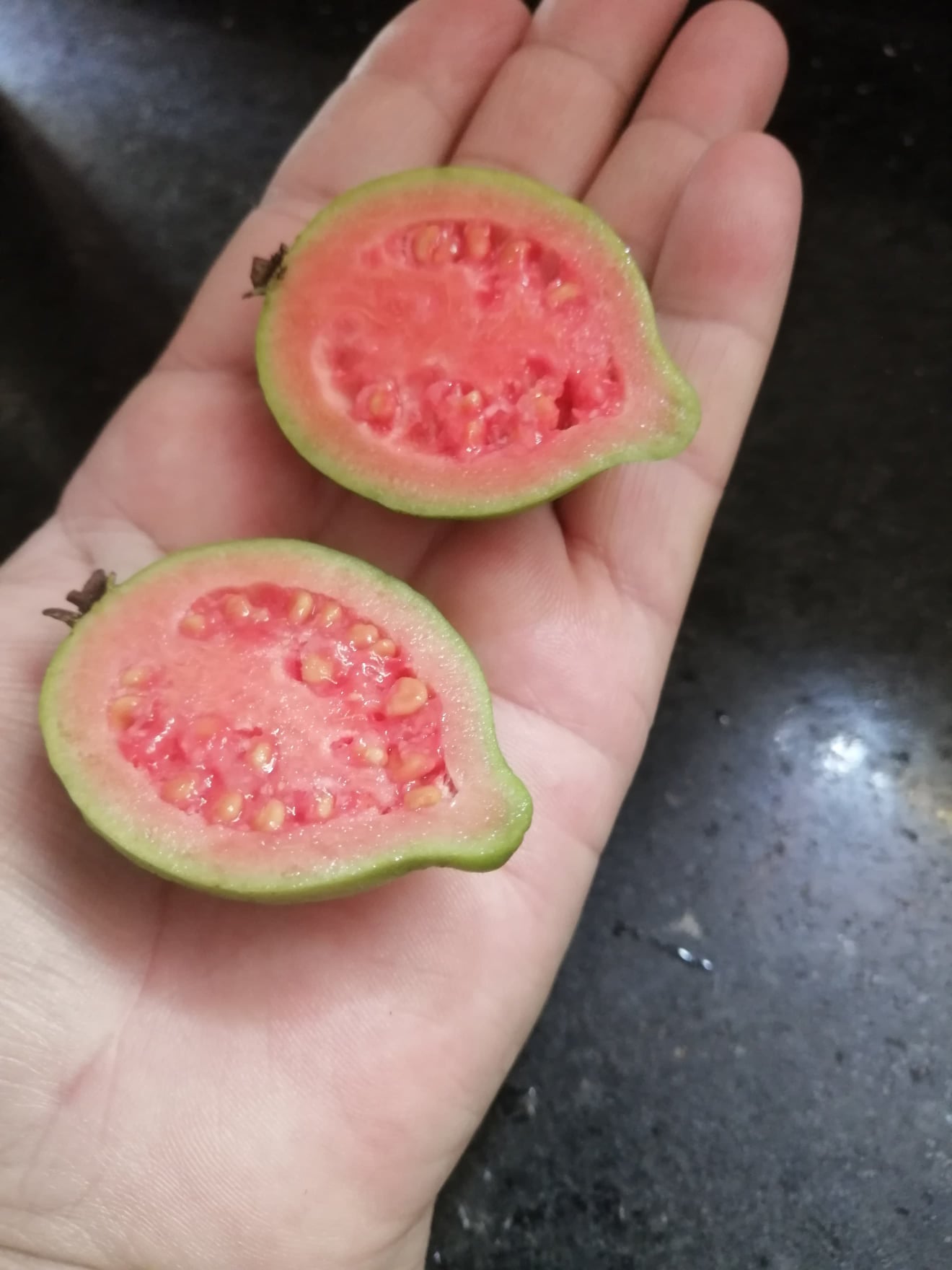 Psidium sorocabense  - 3 fresh seeds / 3 frische Samen