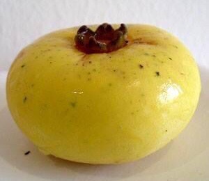 Gold Apple (Diospyros decandra) - 1 potted plant / 1 getopfte Pflanze