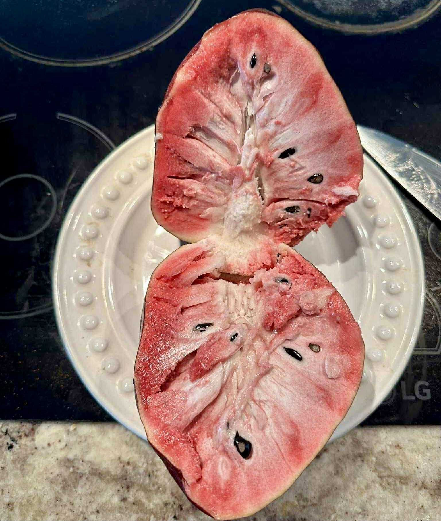 Annona reticulata var Ruby Heart- 1 fresh seed / 1 frischer Samen
