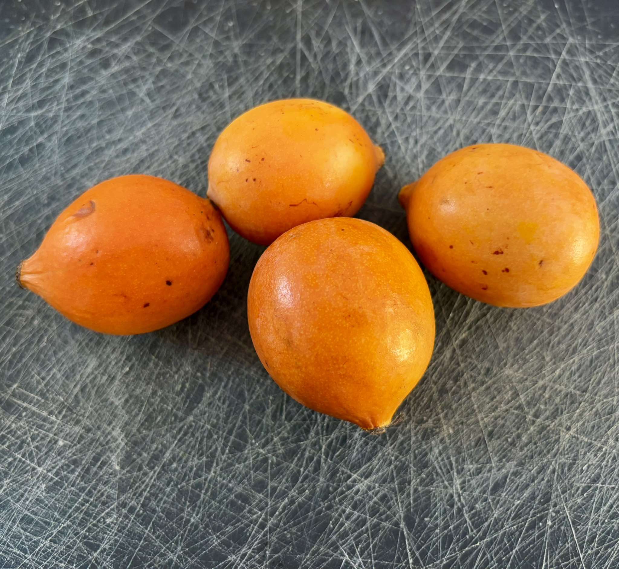 Garcinia humilis - Achachairu  - 2 fresh seeds / 2 frische Samen