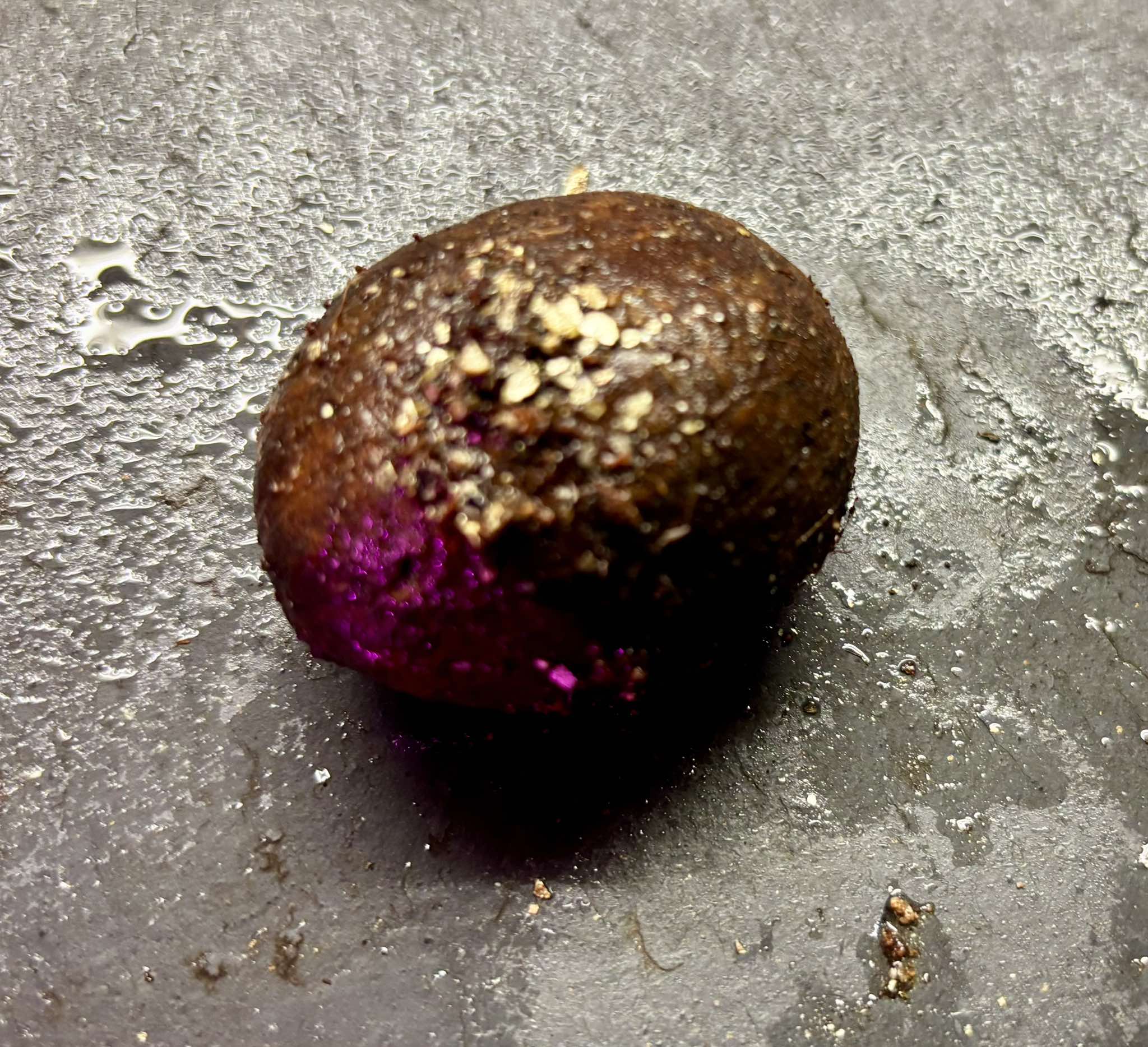 Platonia insignis - Bacuriacu -   1 fresh seed / 1 frischer Samen