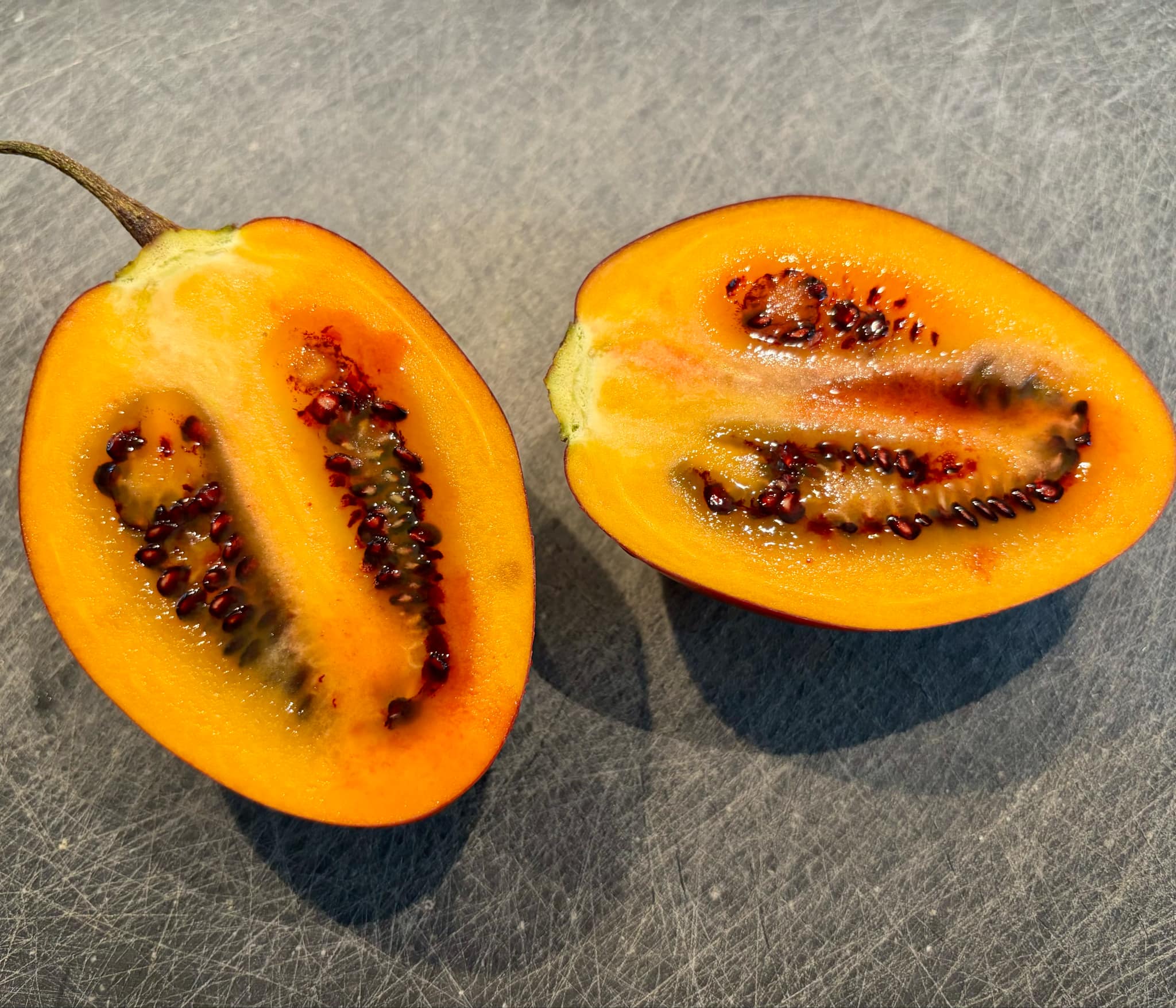 Tamarillo var. BIG (Solanum betaceum) - 10 fresh seeds / 10 frische Samen
