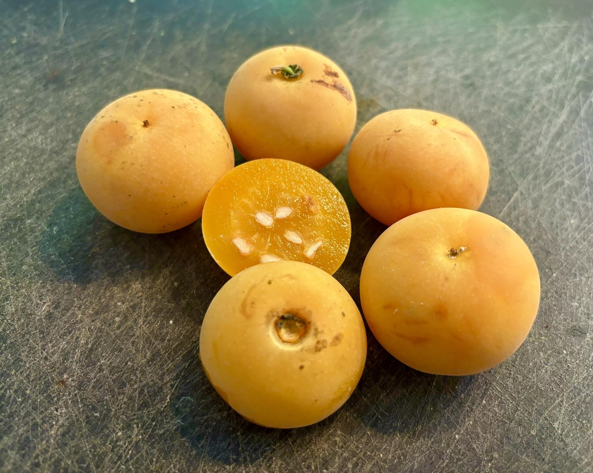 Kei Apple (Dovyalis caffra) - 3 fresh seeds / 3 frische Samen