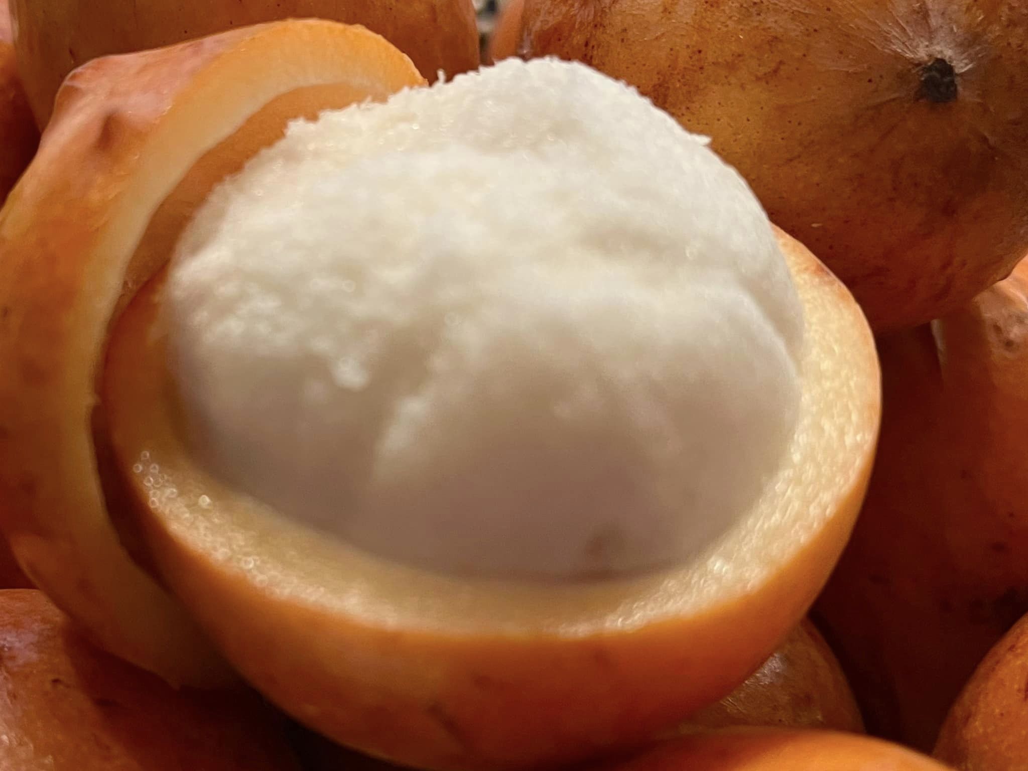 Garcinia humilis - Achachairu  - 2 fresh seeds / 2 frische Samen
