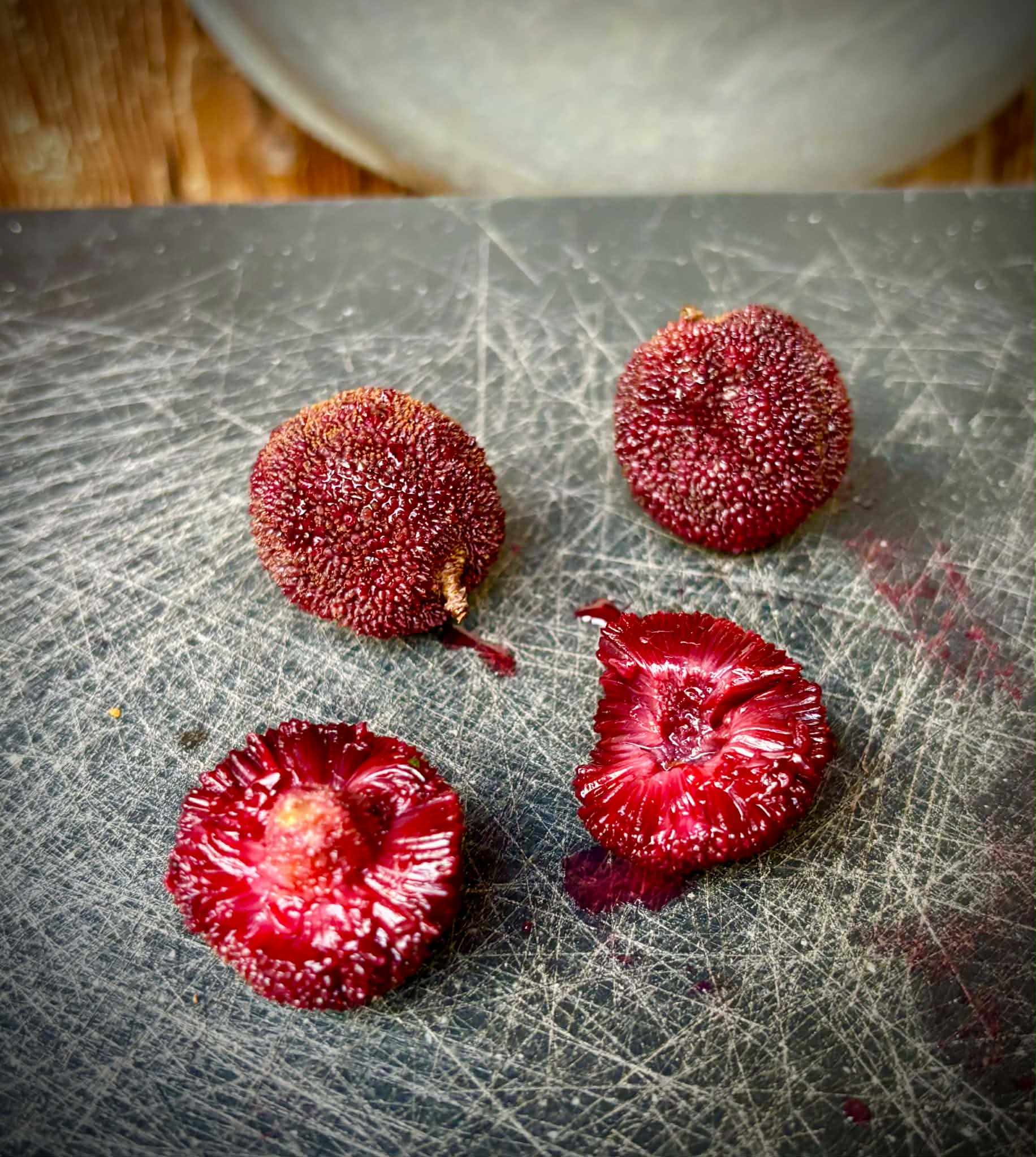 Yangmei (Myrica rubra) - 2 fresh seeds / 2 frische Samen
