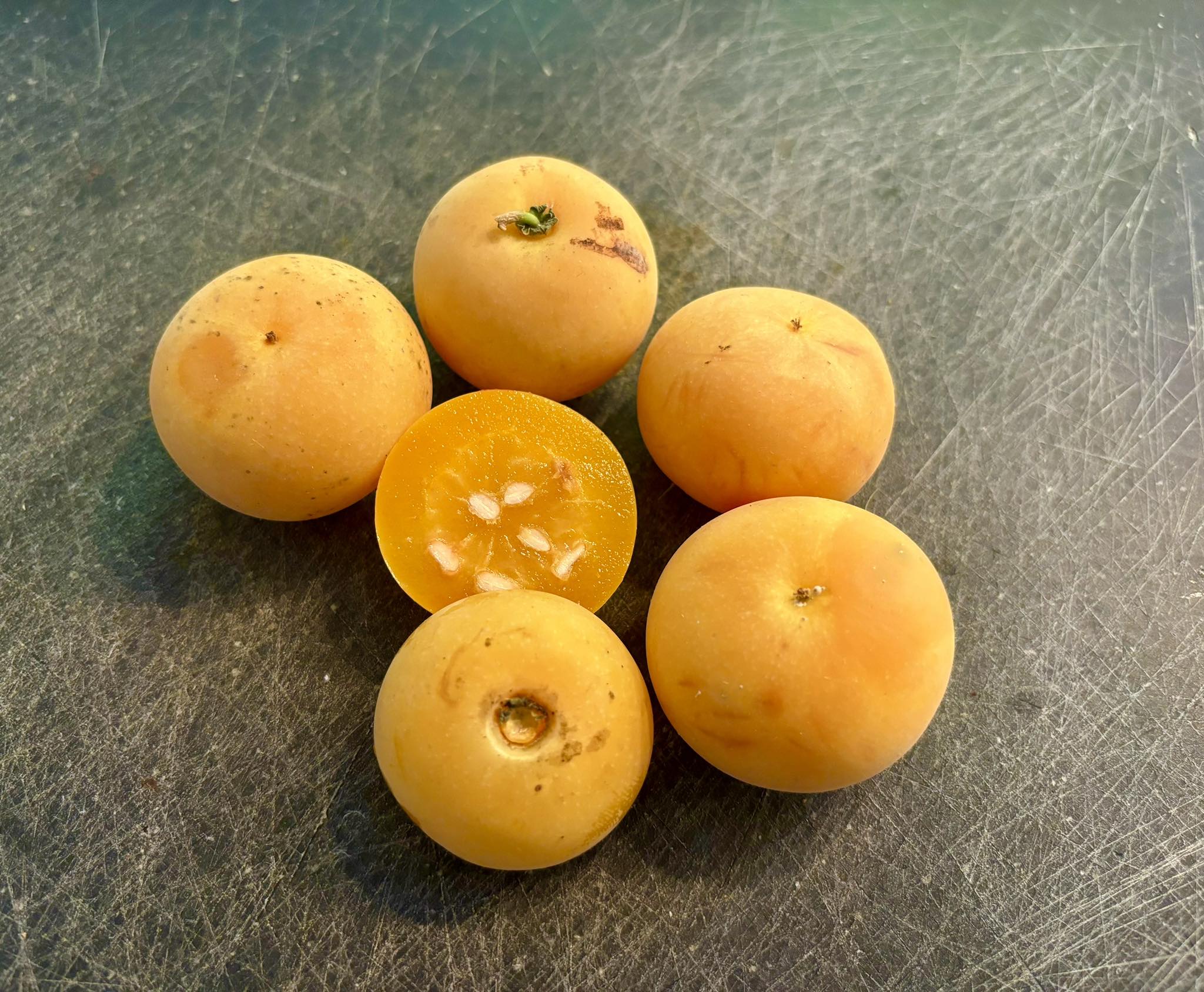 Kei Apple (Dovyalis caffra) - 3 fresh seeds / 3 frische Samen Kei Apple (Dovyalis caffra) - 3 fresh seeds / 3 frische Samen