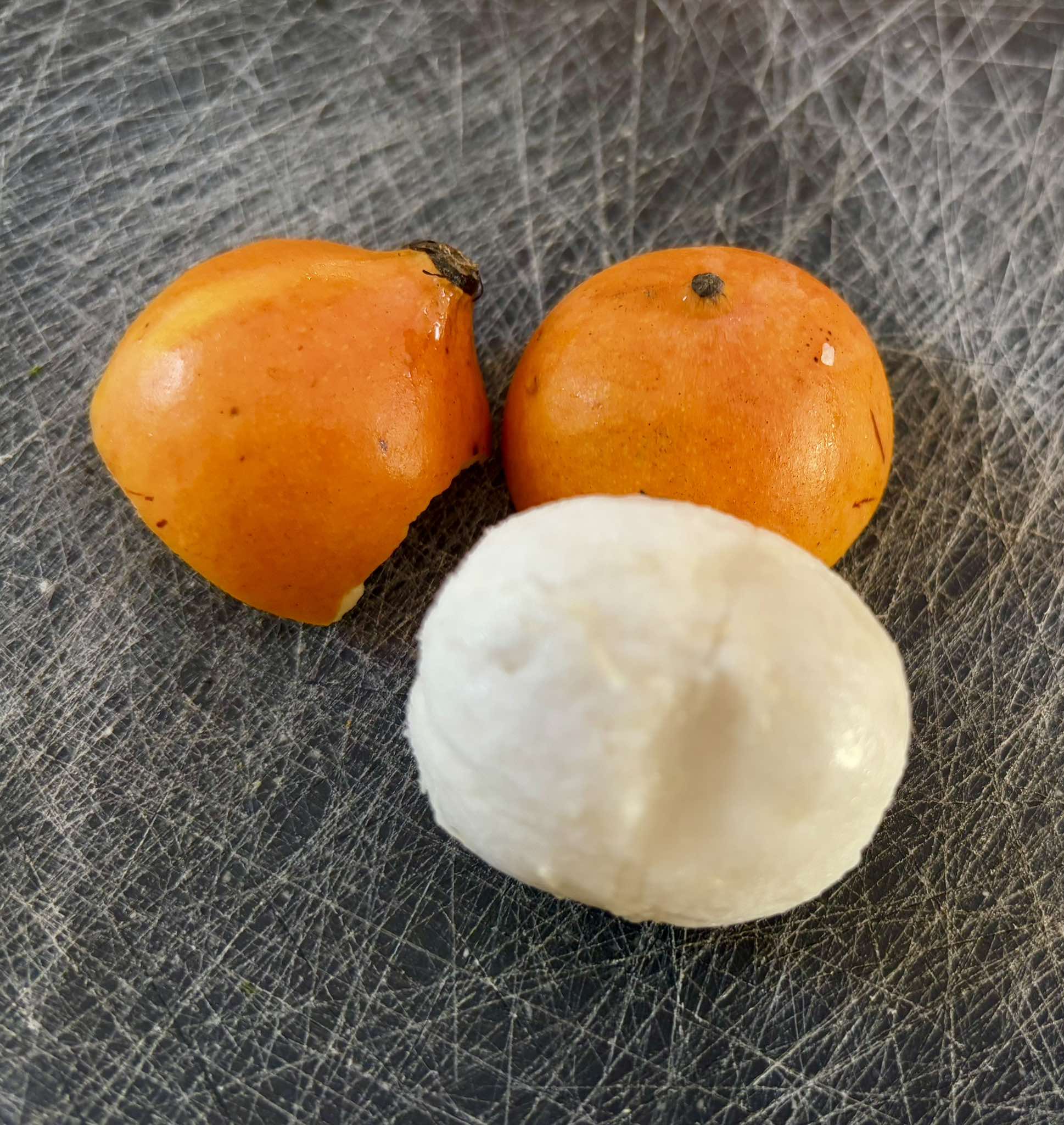 Garcinia humilis - Achachairu  - 2 fresh seeds / 2 frische Samen