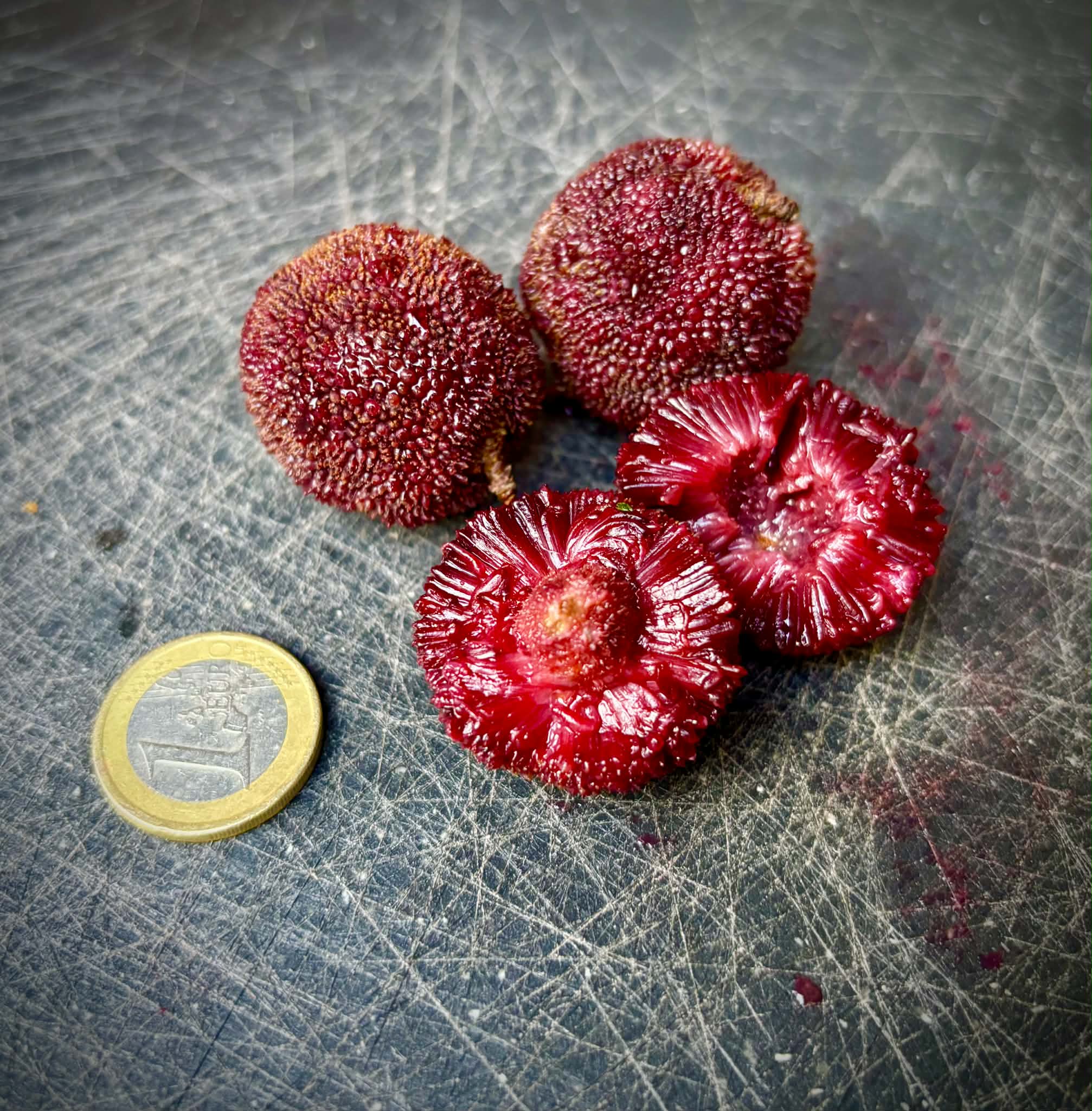 Yangmei (Myrica rubra) - 2 fresh seeds / 2 frische Samen
