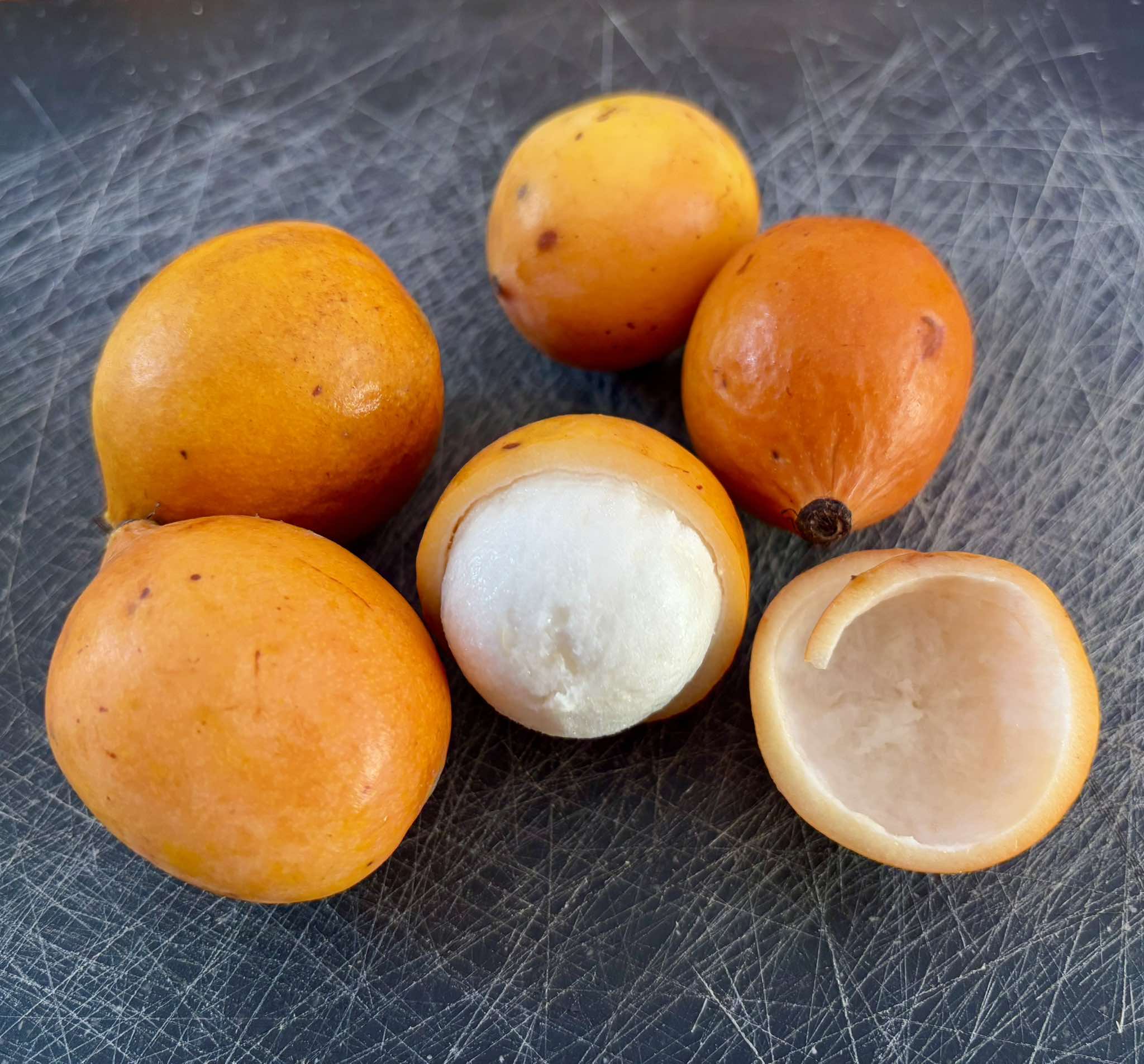 Garcinia humilis - Achachairu  - 2 fresh seeds / 2 frische Samen
