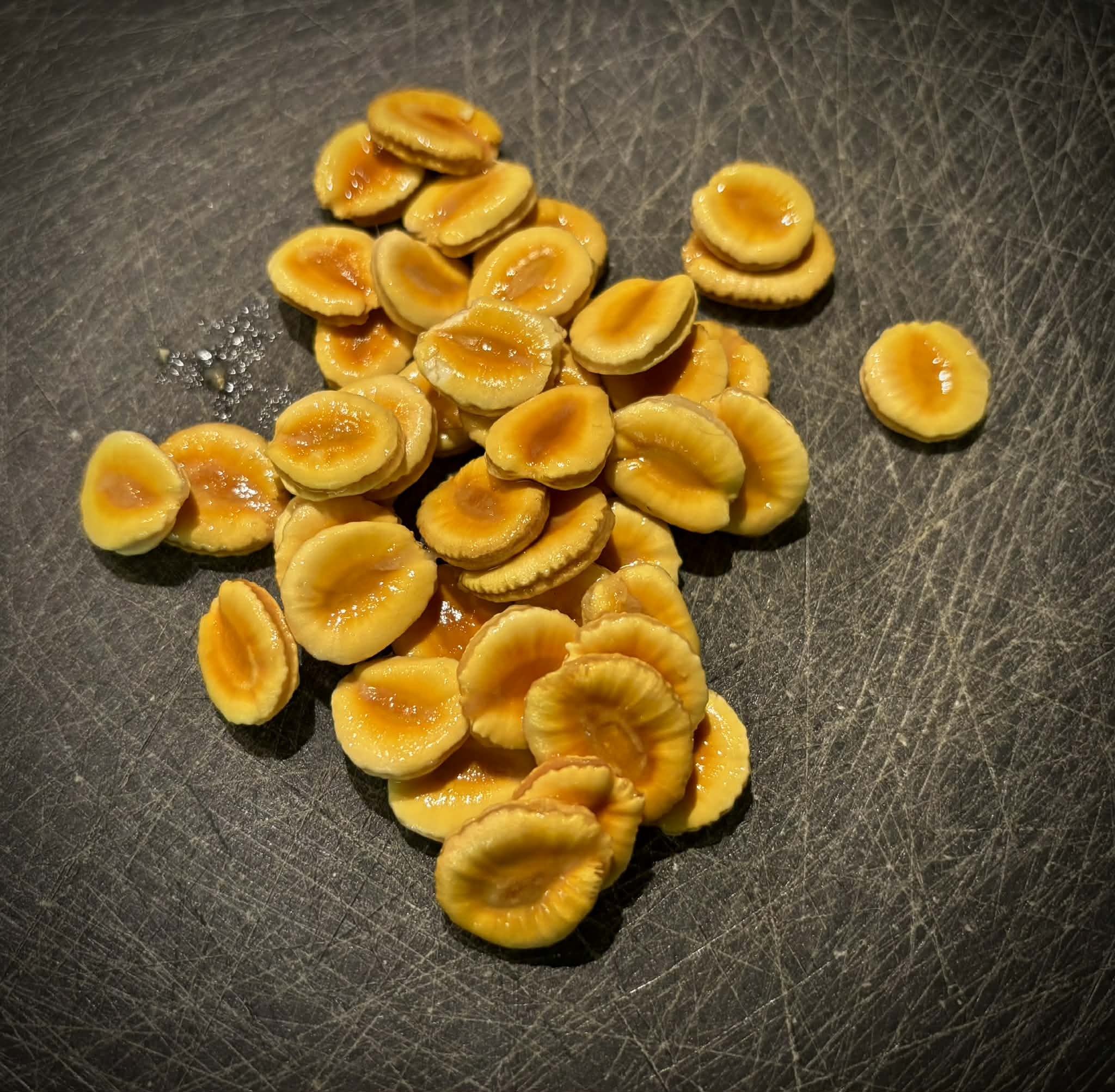 Monk Fruit (Siraitia grosvenorii) – Luo Han Guo - 5 fresh seeds / 5 frische Samen