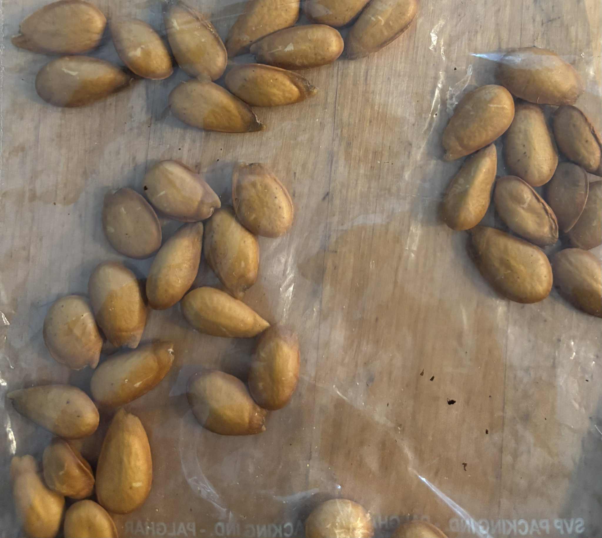 Annona montana var. Gaspar (Anestor Mezzomo) - 1 fresh seed / 1 frischer Samen