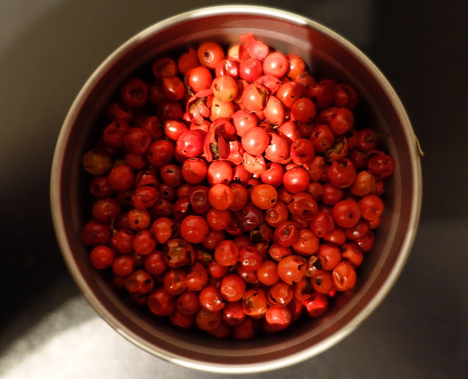 Brazilian Peppertree (Schinus terebinthifolia) - 10 frische Samen / 10 fresh seeds