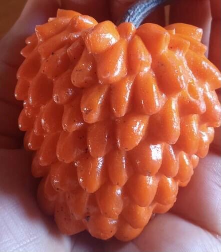 Annona cornifolia - Araticum de Raposa  - 3 fresh seeds / 3 frische Samen