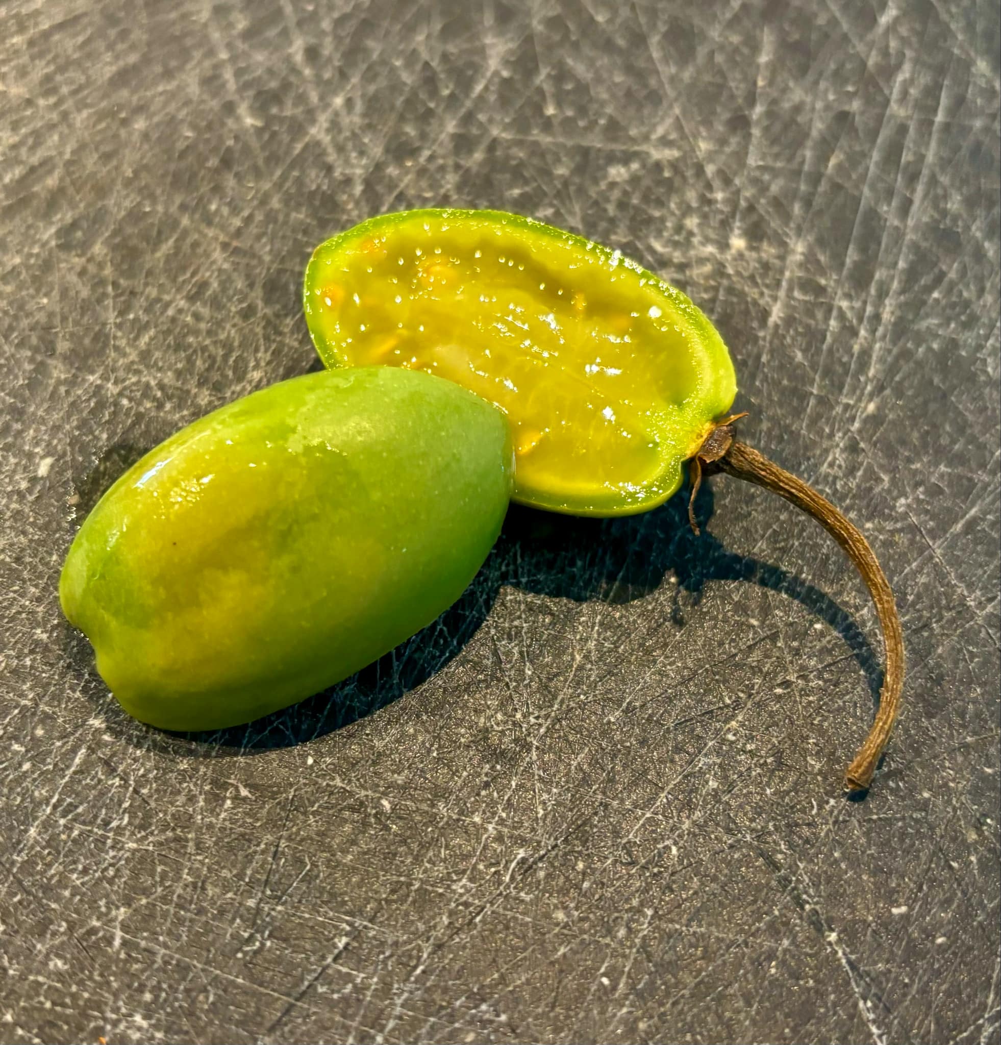Tomatao Verde Piloso (Solanum luridifuscescens) 5 fresh seeds / 5 frische Samen