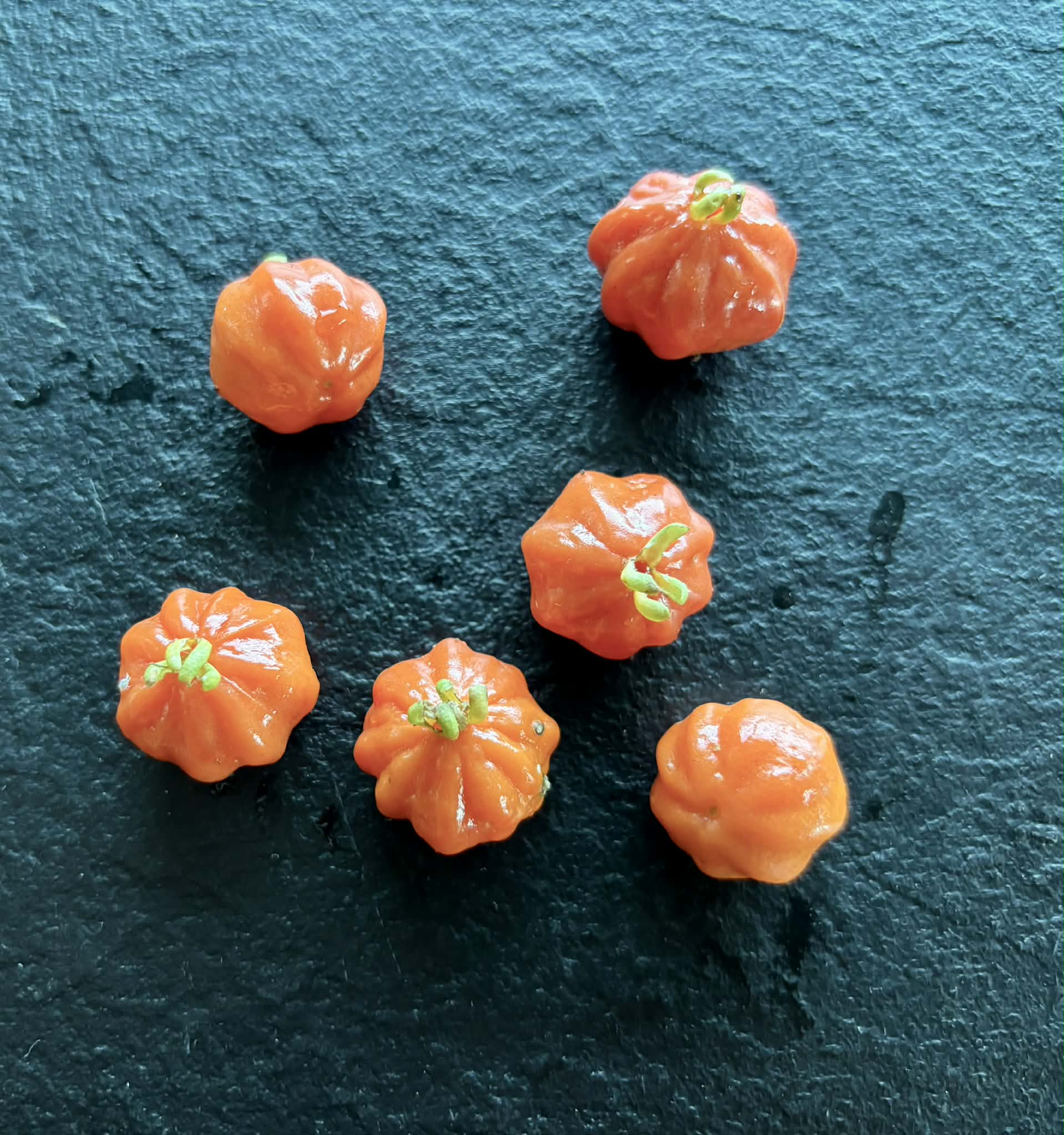 Set of 5 different Pitanga varieties -  5 x 2 fresh seeds / 5 x 2 frische Samen