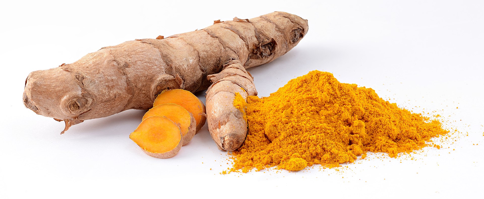 Tumeric / Kurkuma (Curcuma longa) small plant - 1 potted plant, 1 getopfte Pflanze