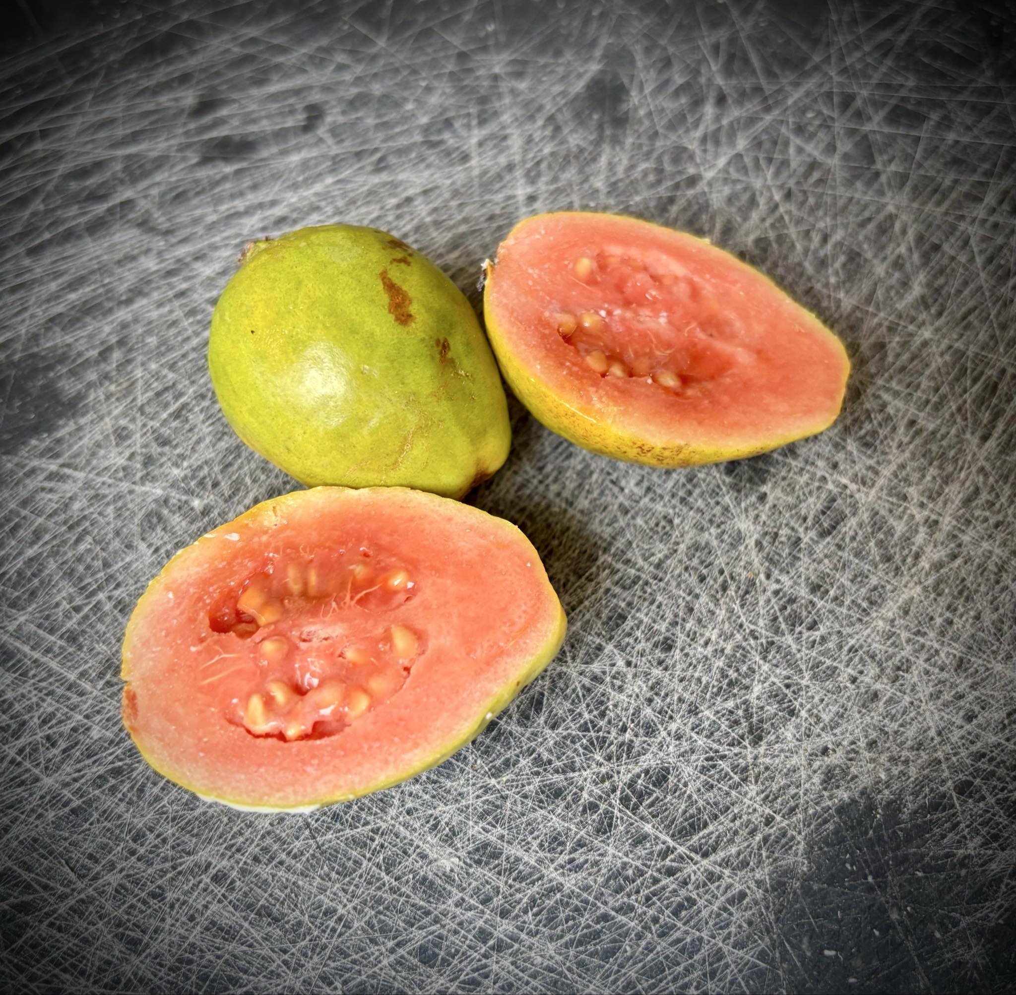 Narrow Leaf Guava (Psidium striatulum)  - 3 fresh seeds / 3 frische Samen