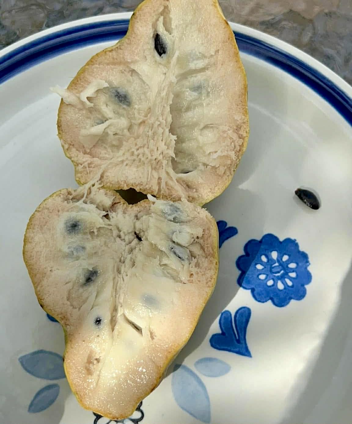 Annona reticulata var Orange- 2 fresh seeds / 2 frische Samen