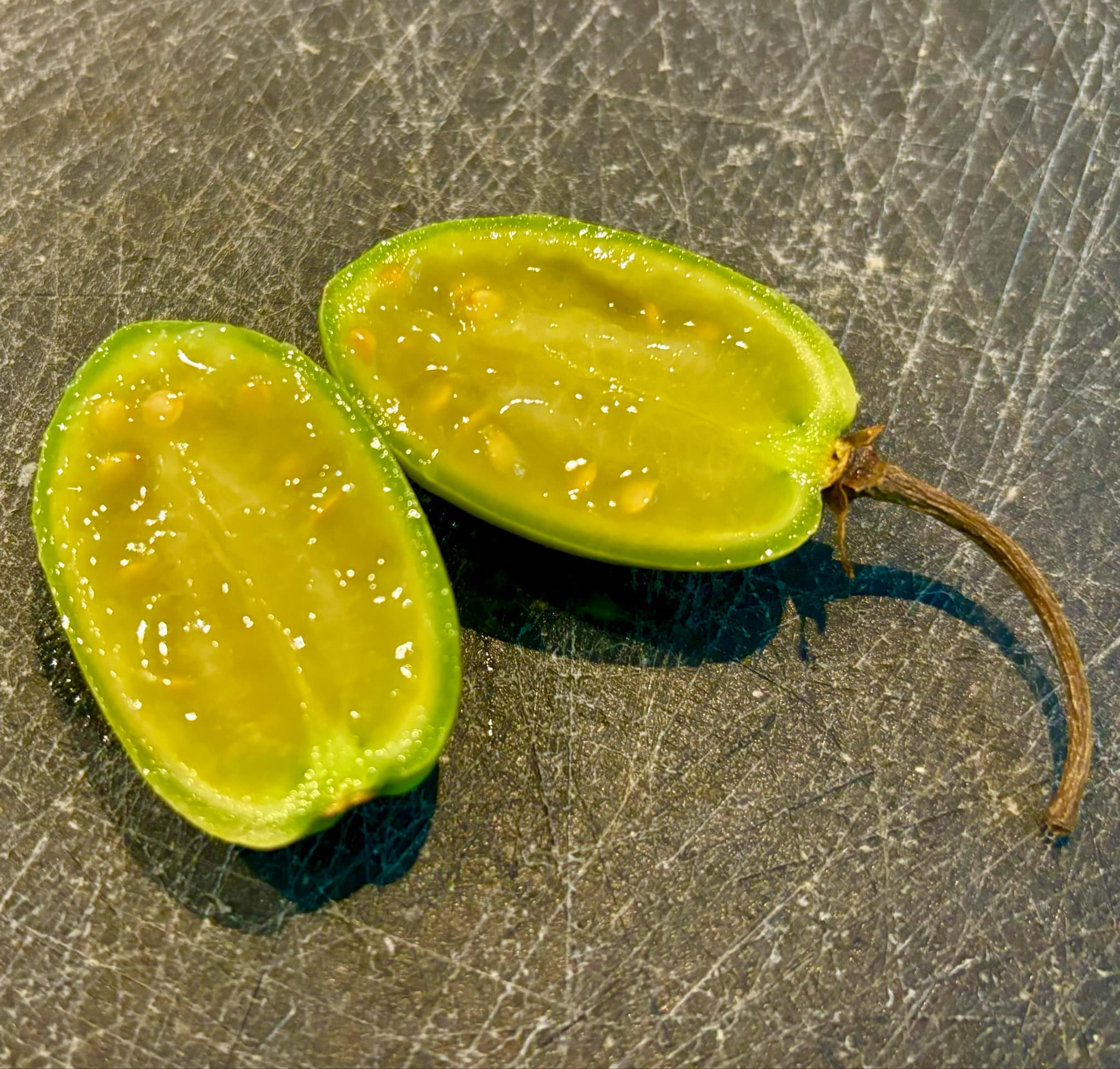 Tomatao Verde Piloso (Solanum luridifuscescens) 5 fresh seeds / 5 frische Samen