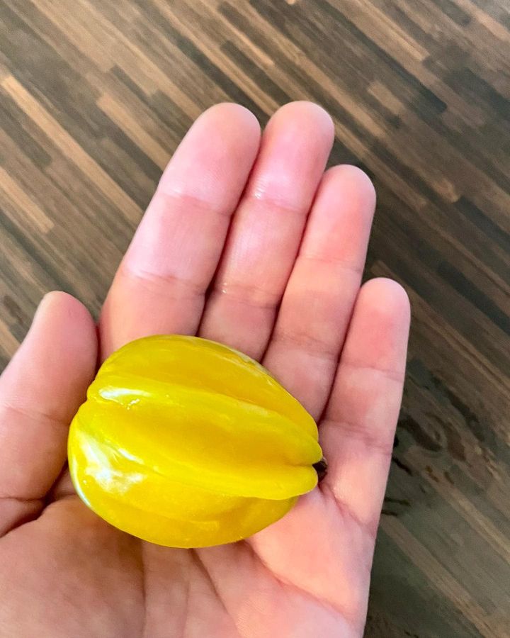 Eugenia selloi - Rare exotic plant - Seltene exotische Pflanze