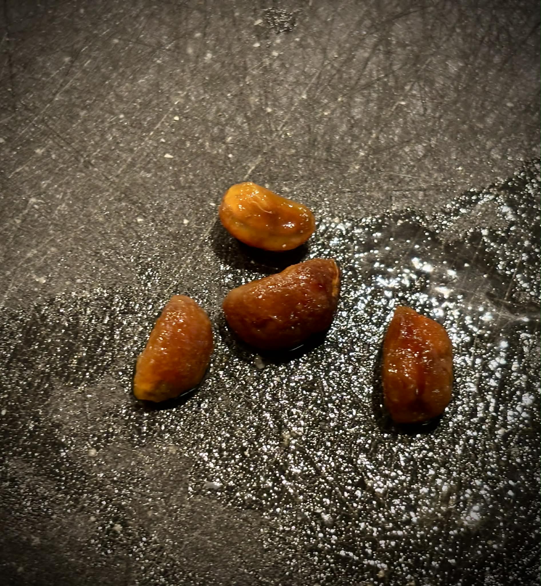 Manipuca (Mouriri cearensis) - 1 fresh seed / 1 frischer Samen