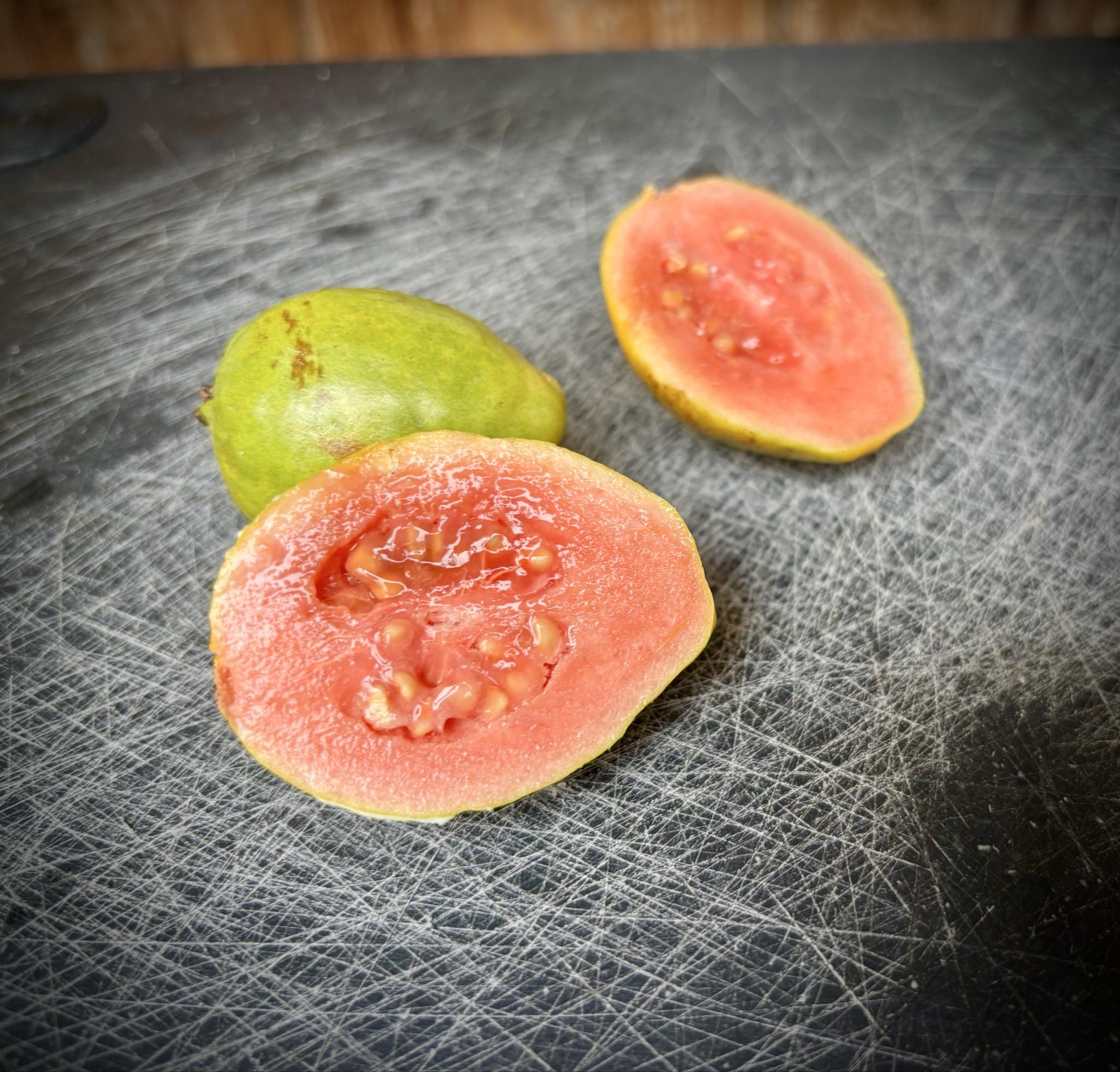 Narrow Leaf Guava (Psidium striatulum)  - 3 fresh seeds / 3 frische Samen