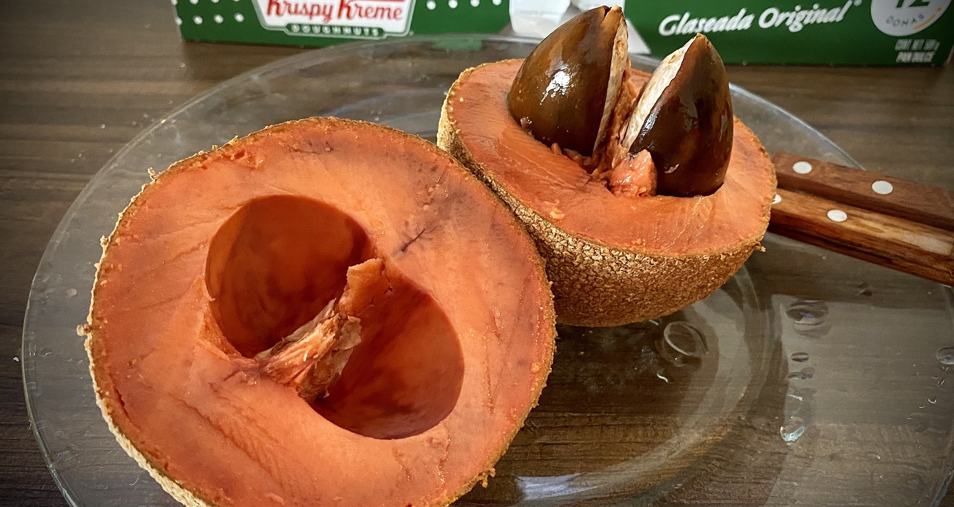 Pouteria sapota - Mamey Sapote - 1 fresh seed / 1 frischer Samen Pouteria sapota - Mamey Sapote - 1 fresh seed / 1 frischer Samen
