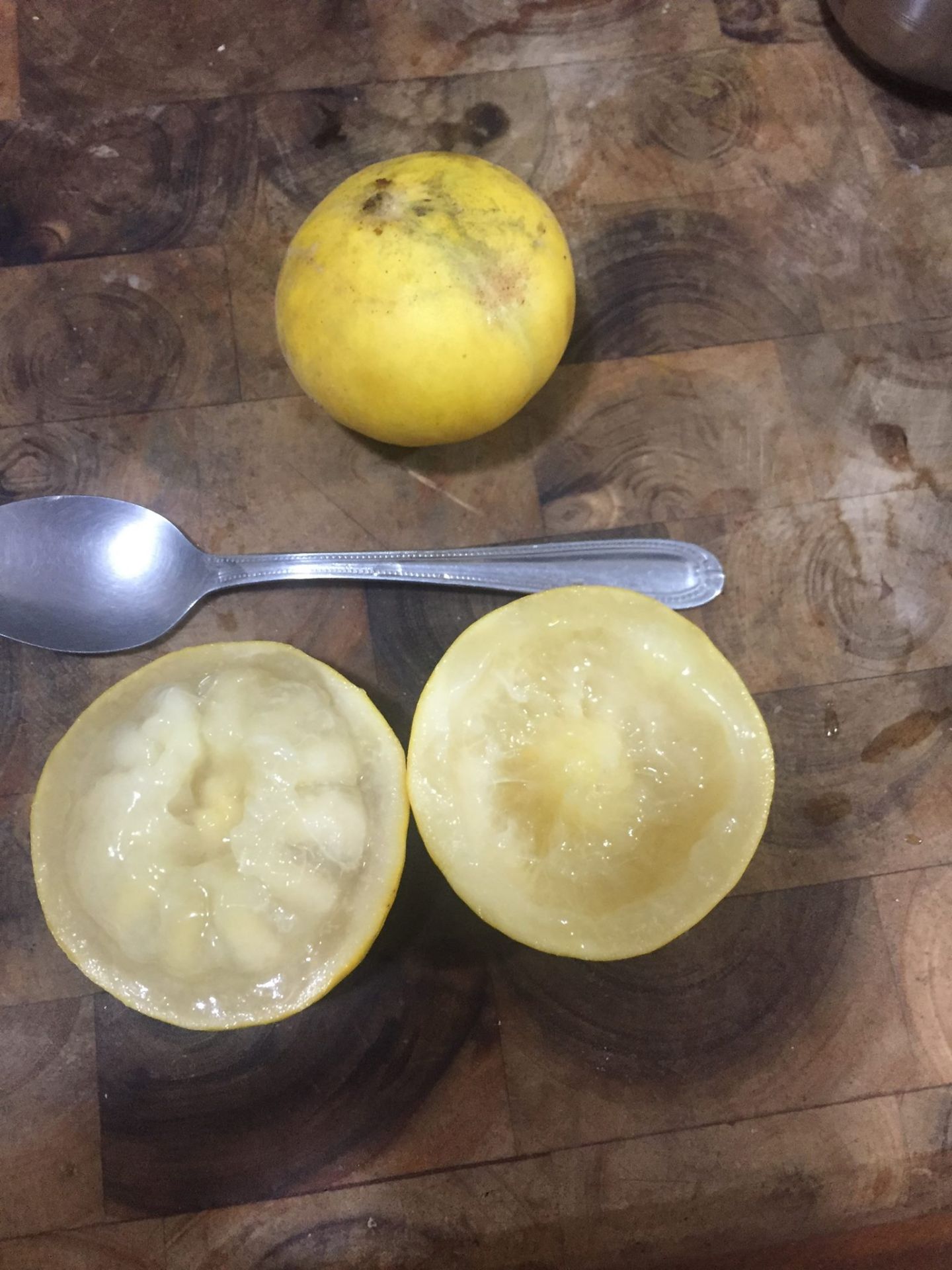 Campomanesia lineatifolia - Rare exotic plant - Seltene exotische Pflanze