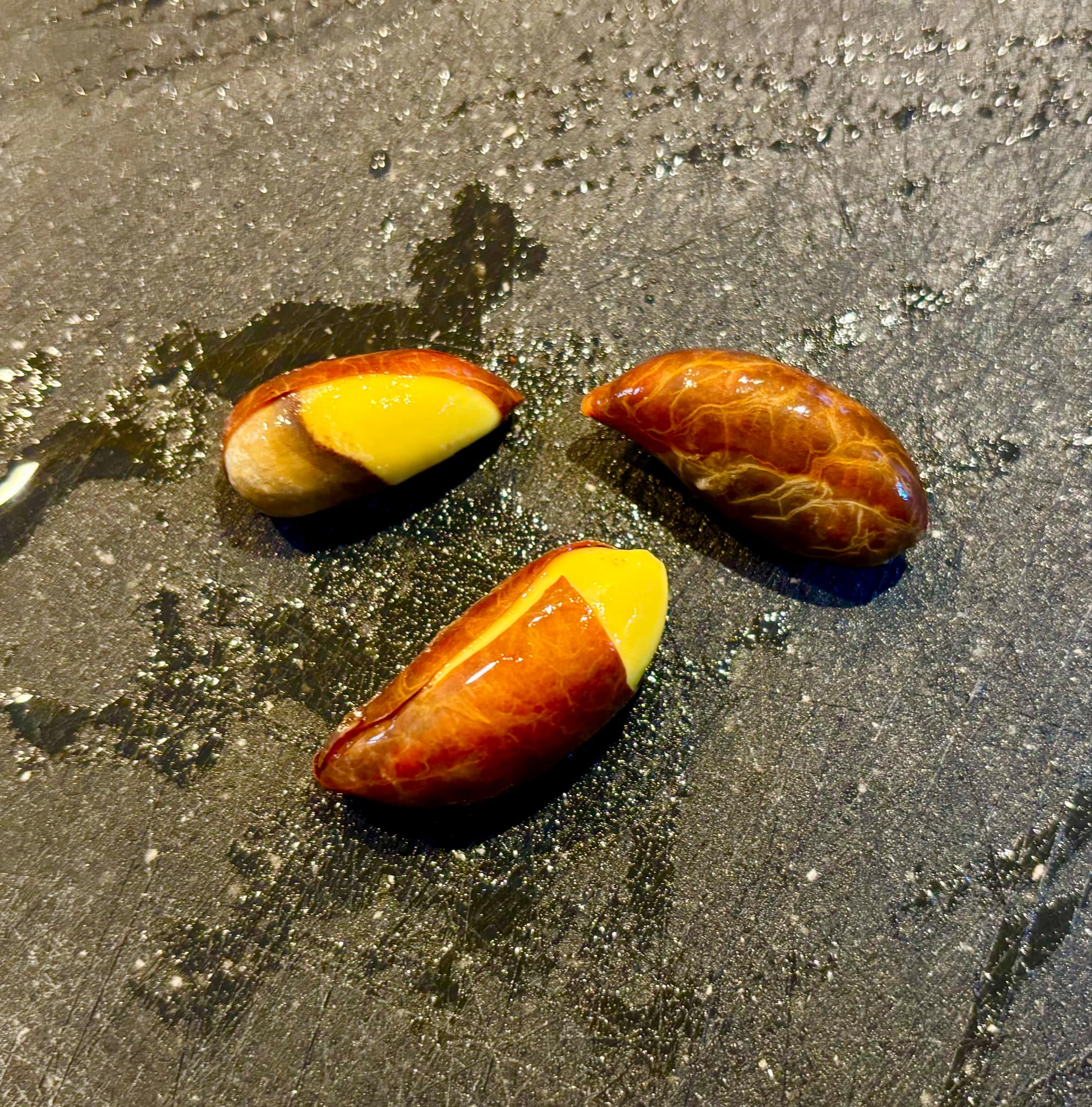 Garcinia dulcis - Mundu - 1 fresh seed / 1 frischer Samen Garcinia dulcis - Mundu - 1 fresh seed / 1 frischer Samen