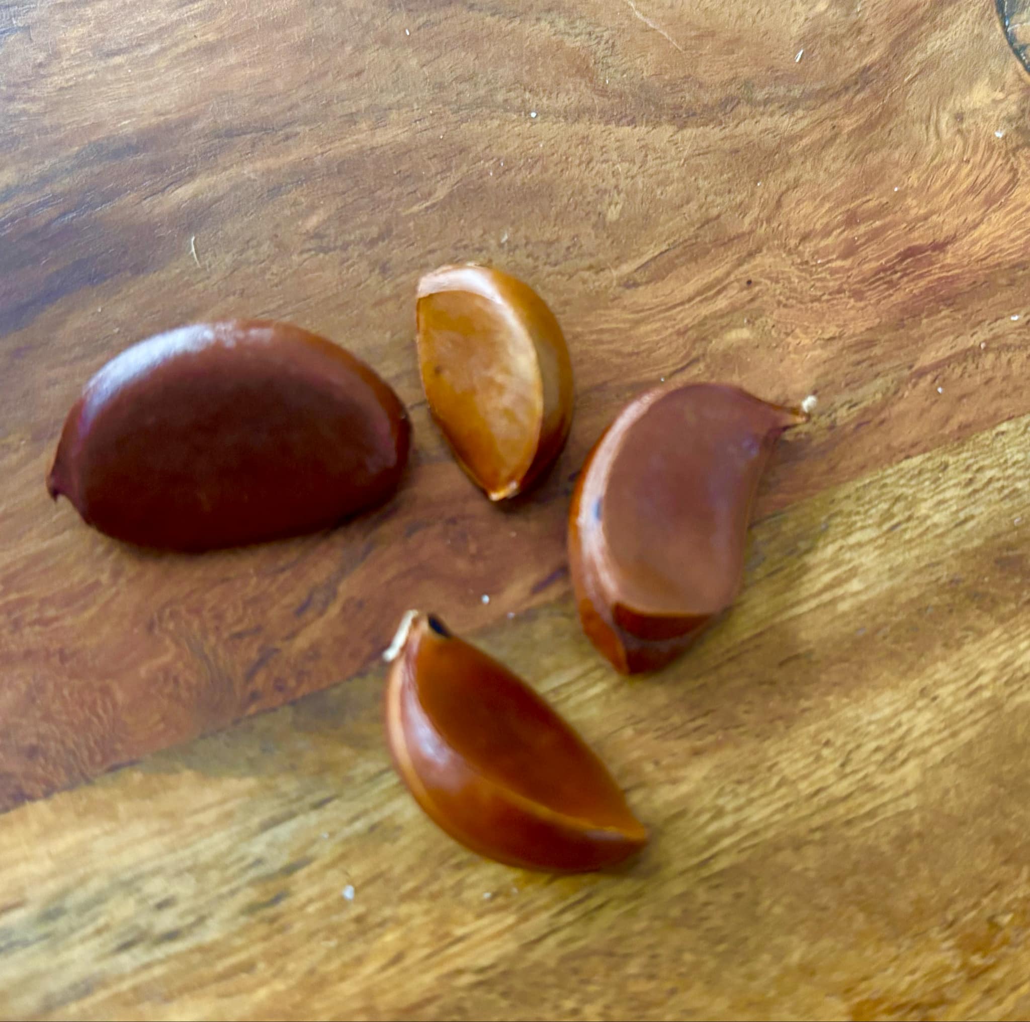 Black Sapote var. Bernecker (Diospyros nigra) - 4 fresh seeds / 4 frische Samen
